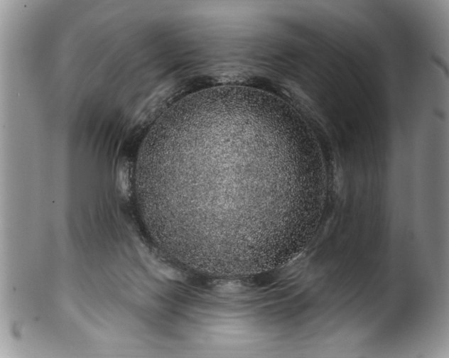 X0000100390074200806131001