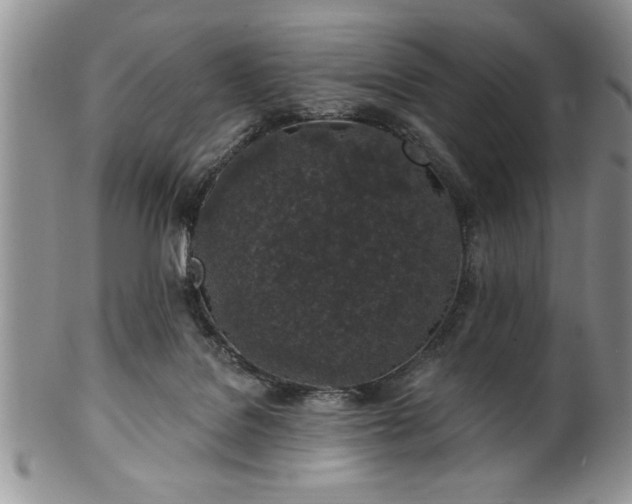 X0000100390076200806131001