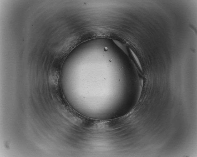 X0000100390078200806131001