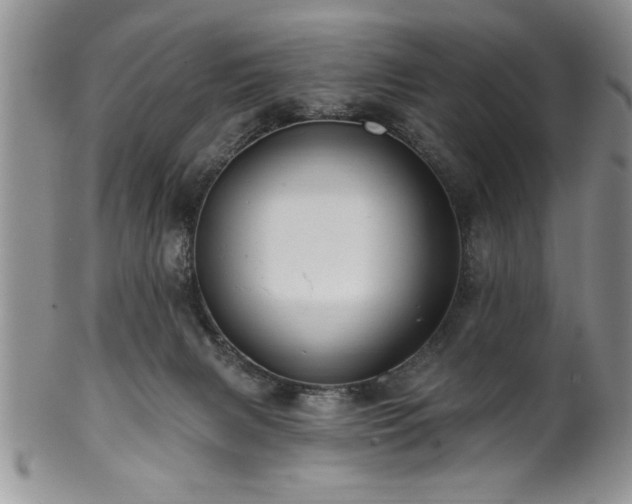 X0000100390079200806131001