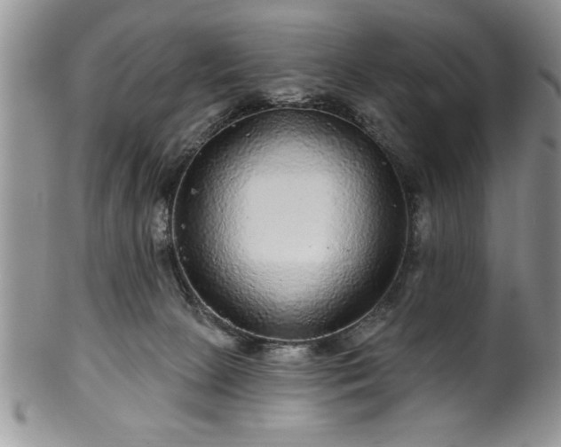 X0000100390081200806131001