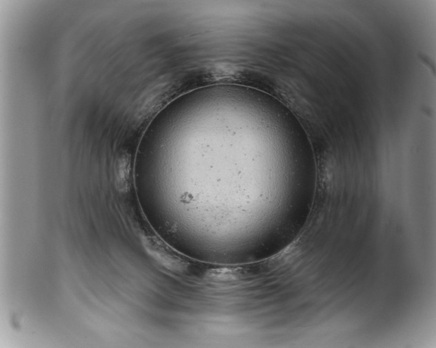 X0000100390082200806131001