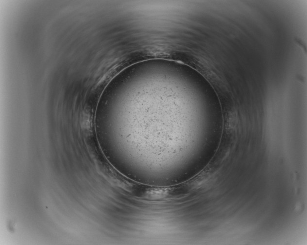 X0000100390084200806131001