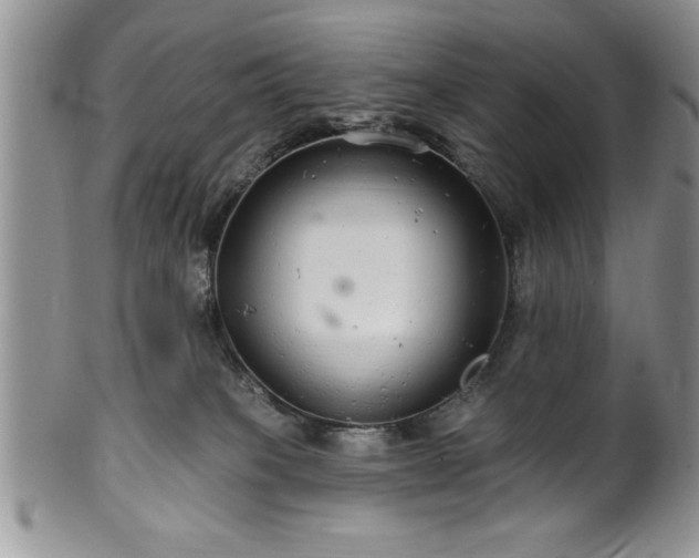 X0000100390085200806131001