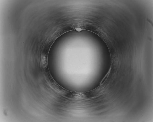 X0000100390087200806131001