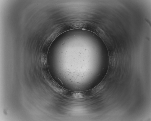 X0000100390091200806131001