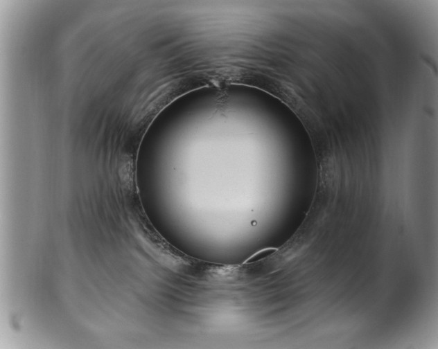 X0000100390092200806131001