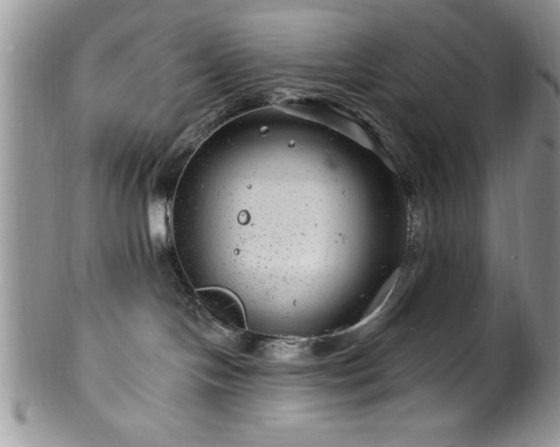 X0000100390094200806131001