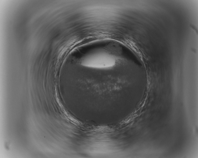 X0000100390097200806131001