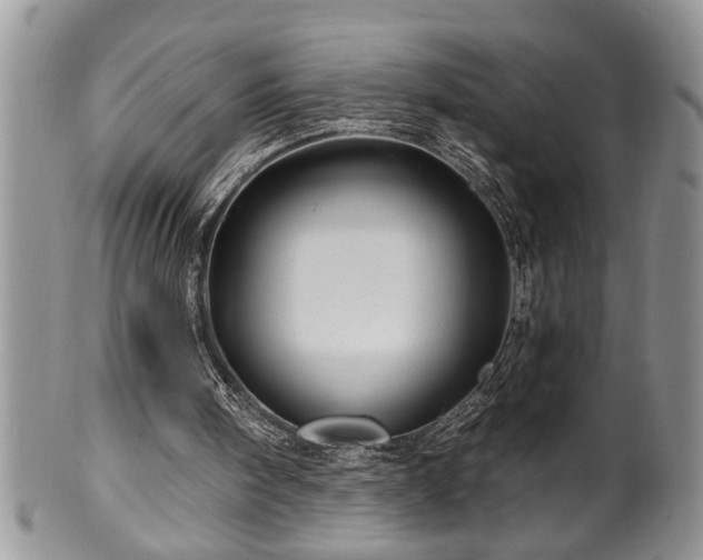 X0000100390098200806131001