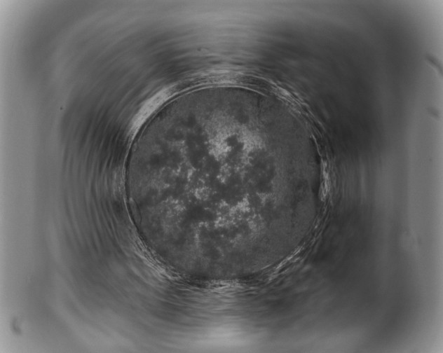 X0000100390099200806131001