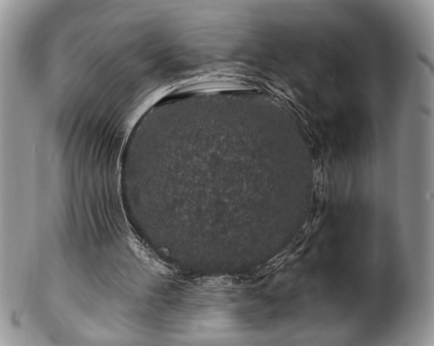 X0000100390100200806131001