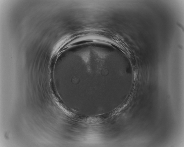 X0000100390101200806131001