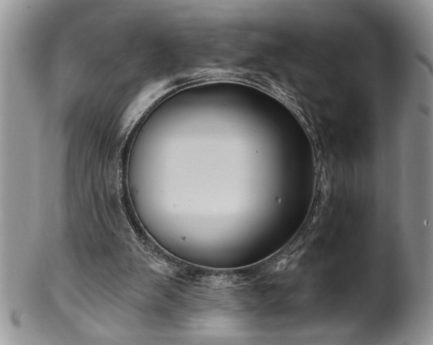 X0000100390103200806131001