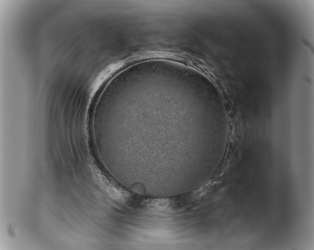 X0000100390104200806131000