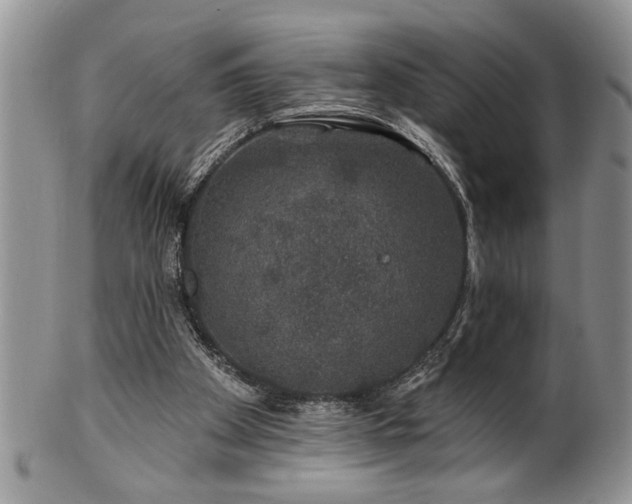 X0000100390105200806131000