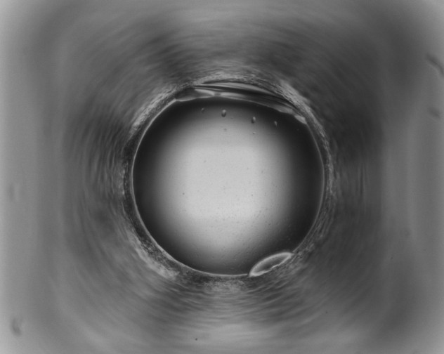 X0000100390106200806131000