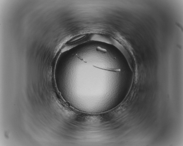 X0000100390107200806131000