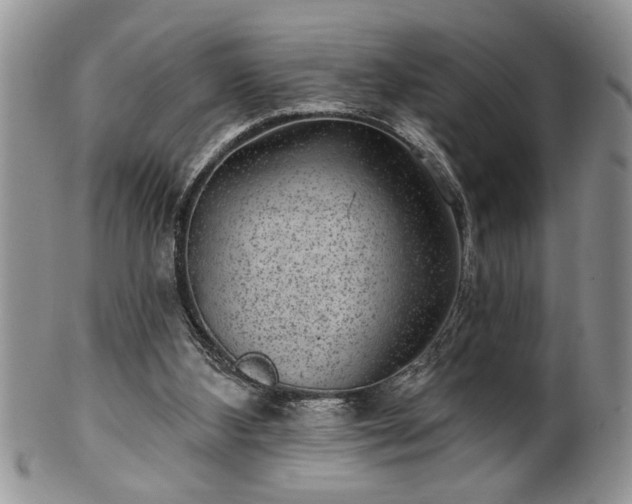 X0000100390108200806131000