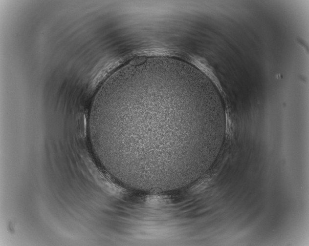 X0000100390109200806131000