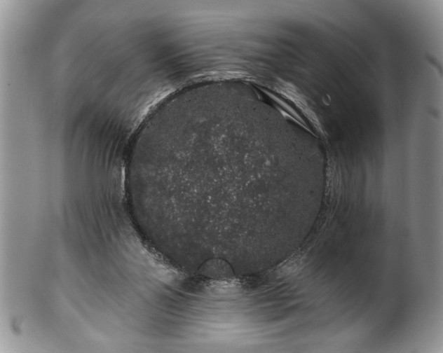 X0000100390110200806131000