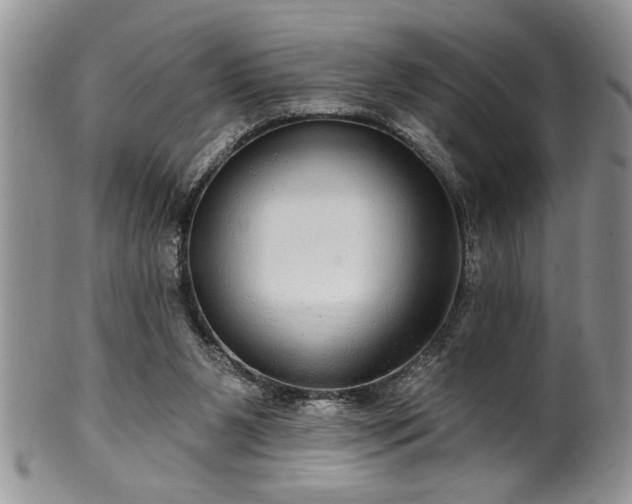 X0000100390111200806131000