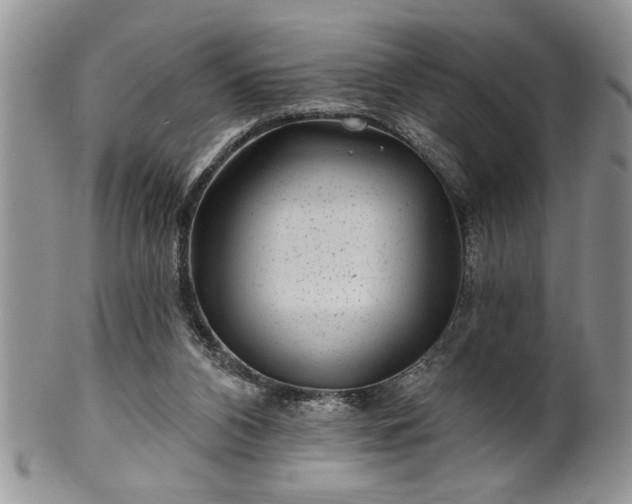 X0000100390112200806131000