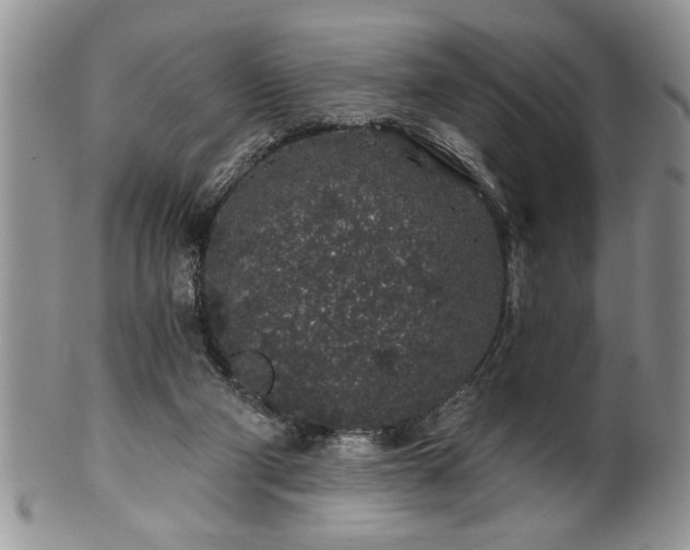 X0000100390114200806131000