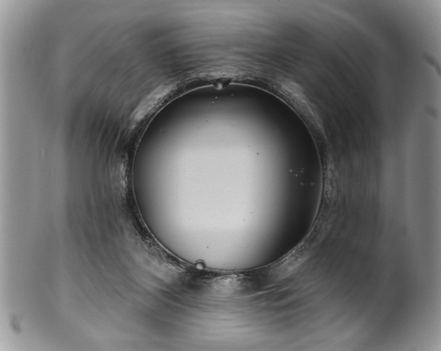 X0000100390116200806131000