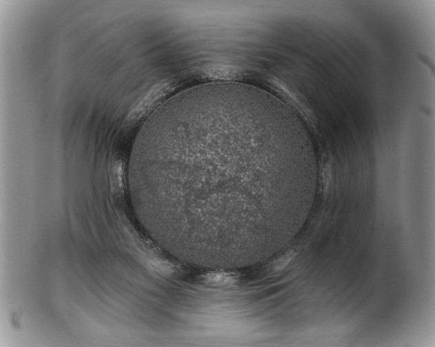 X0000100390117200806131000