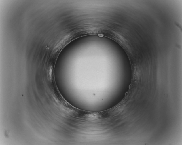 X0000100390118200806131000