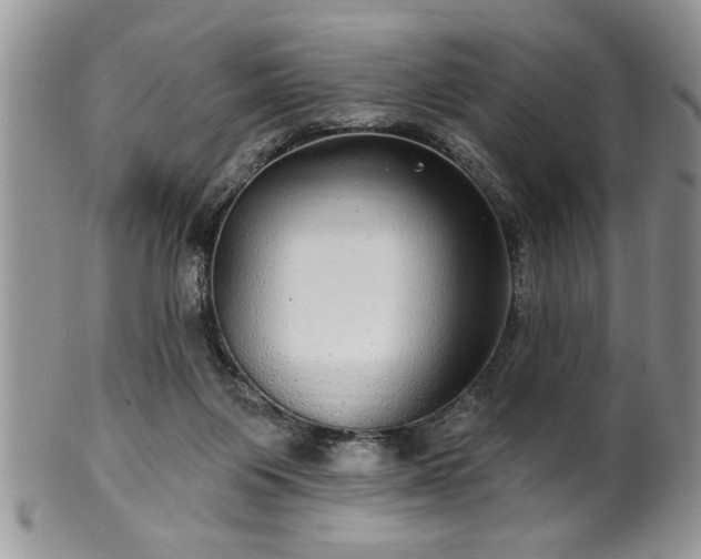 X0000100390119200806131000