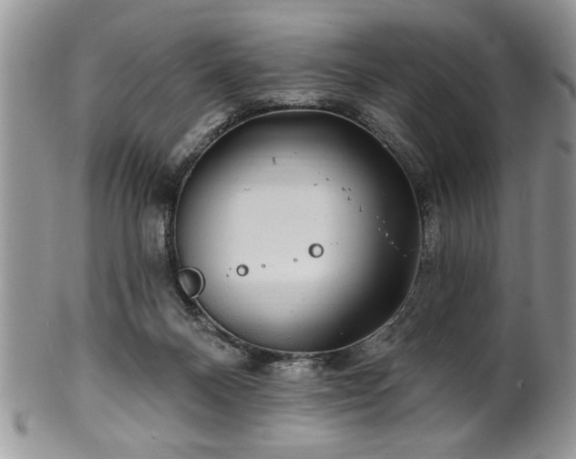 X0000100390120200806131000