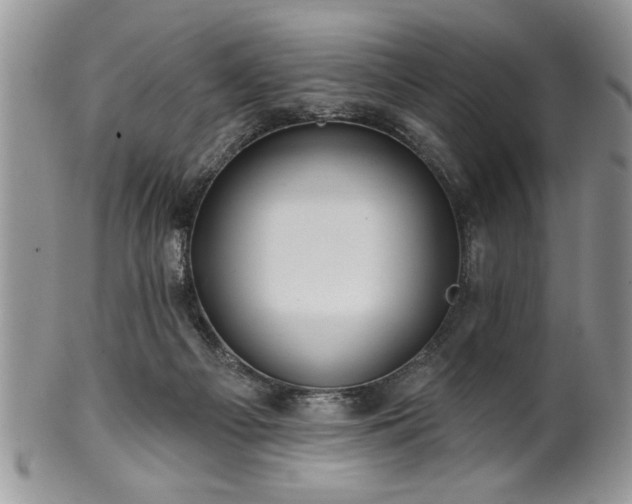 X0000100390121200806131000