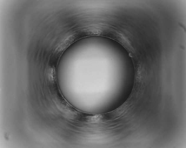 X0000100390122200806131000