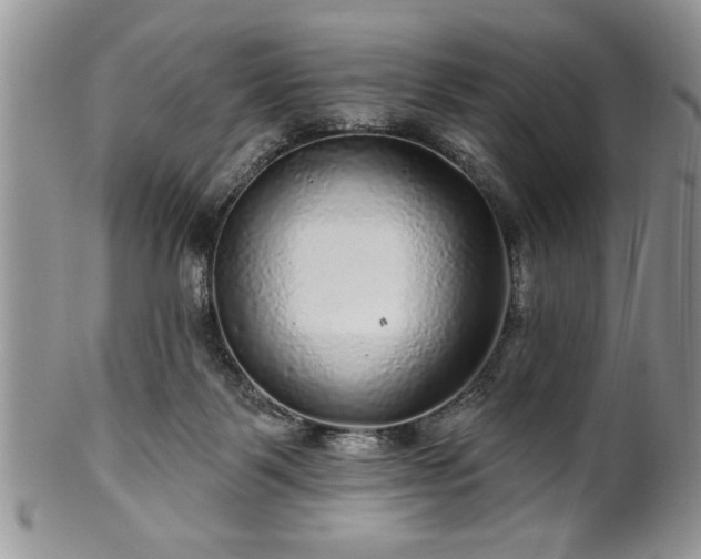 X0000100390123200806131000