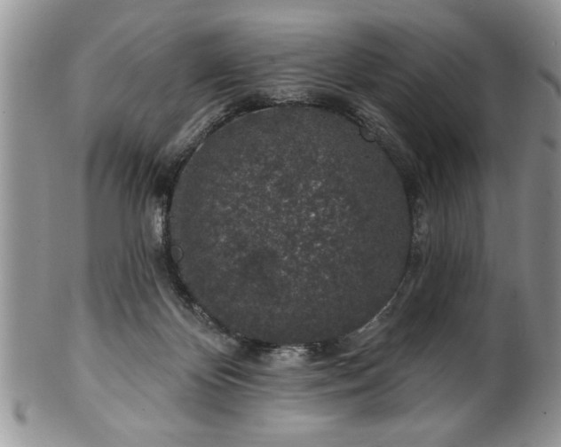 X0000100390124200806131000