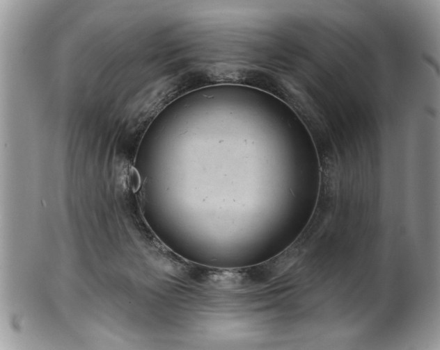 X0000100390125200806131000