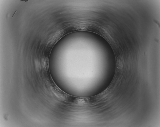 X0000100390126200806131000