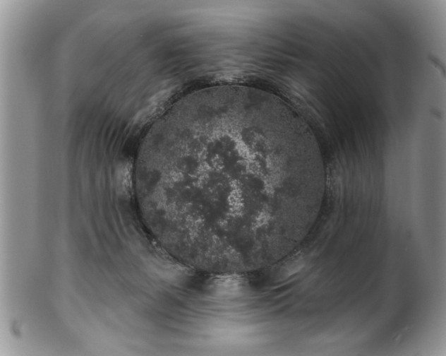 X0000100390127200806131000