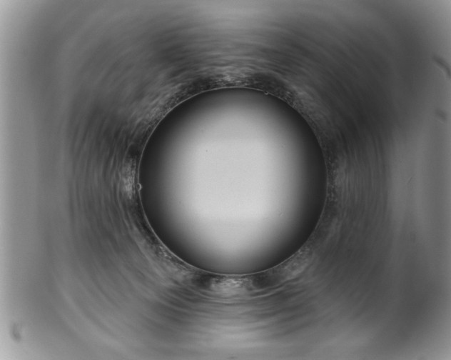 X0000100390129200806131000