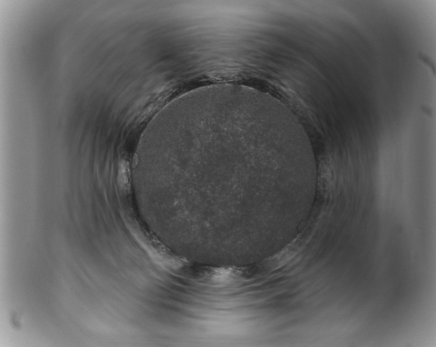 X0000100390130200806131000