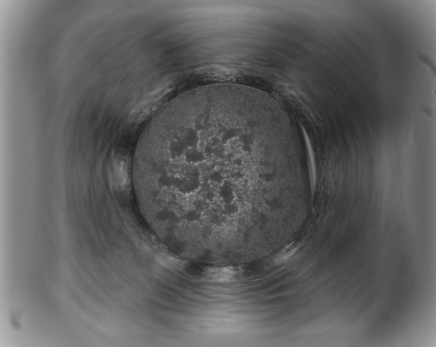 X0000100390131200806131000