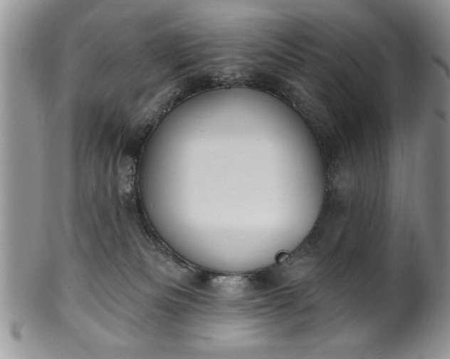 X0000100390133200806131000