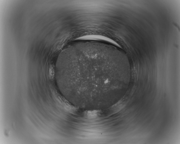 X0000100390134200806131000