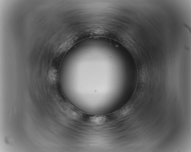 X0000100390135200806131000