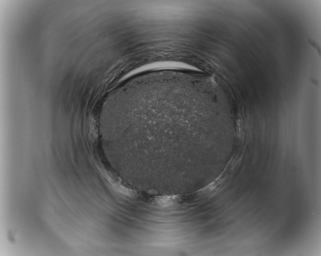 X0000100390136200806131000