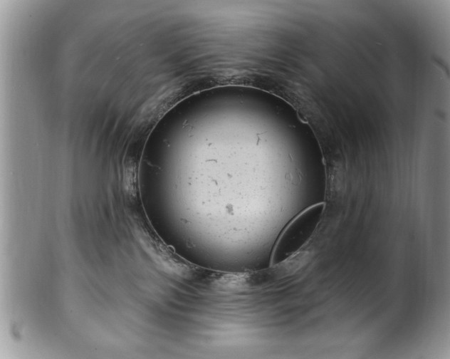 X0000100390138200806131000