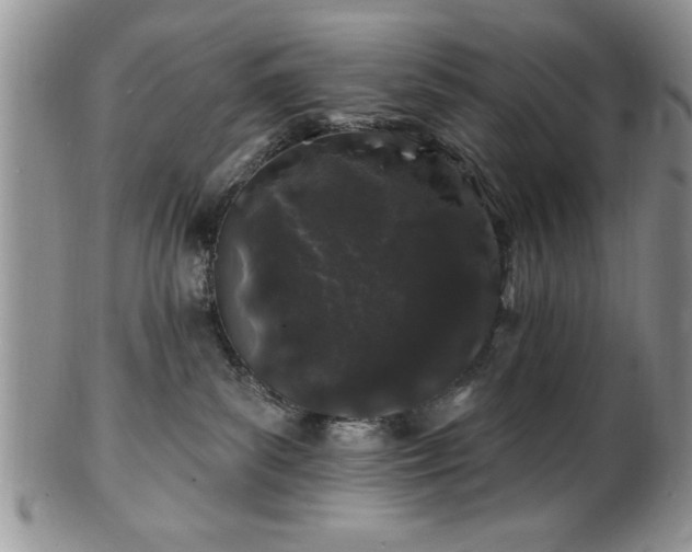 X0000100390139200806131000