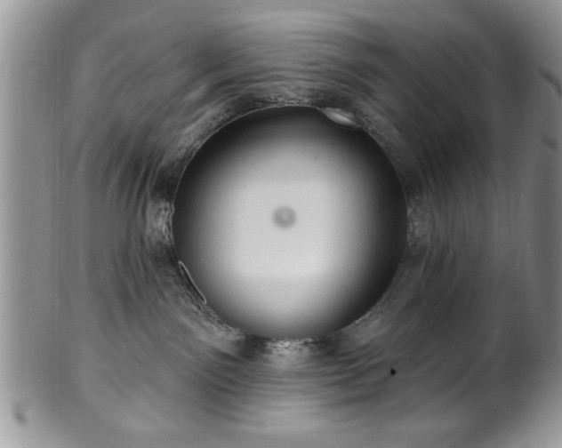 X0000100390141200806131000